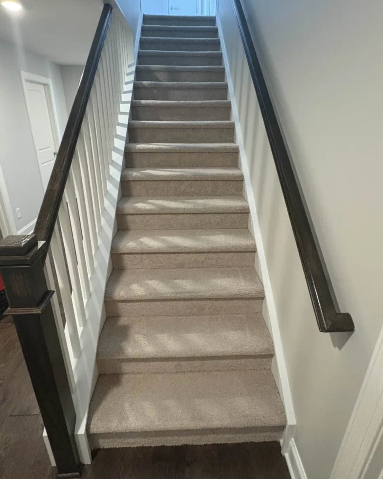 Freshly cleaned carpeted staircase in a two-story home