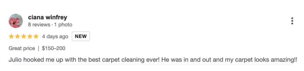 Carpet Cleaning Review